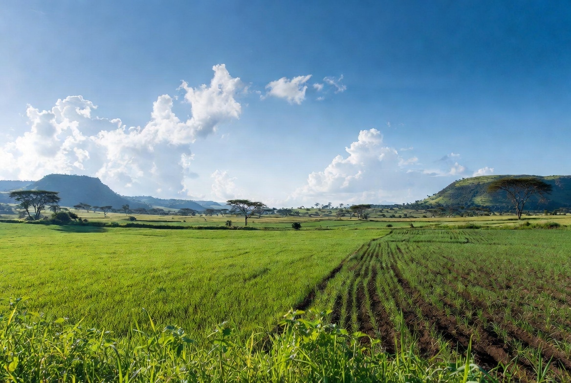 Green Fields Africa
